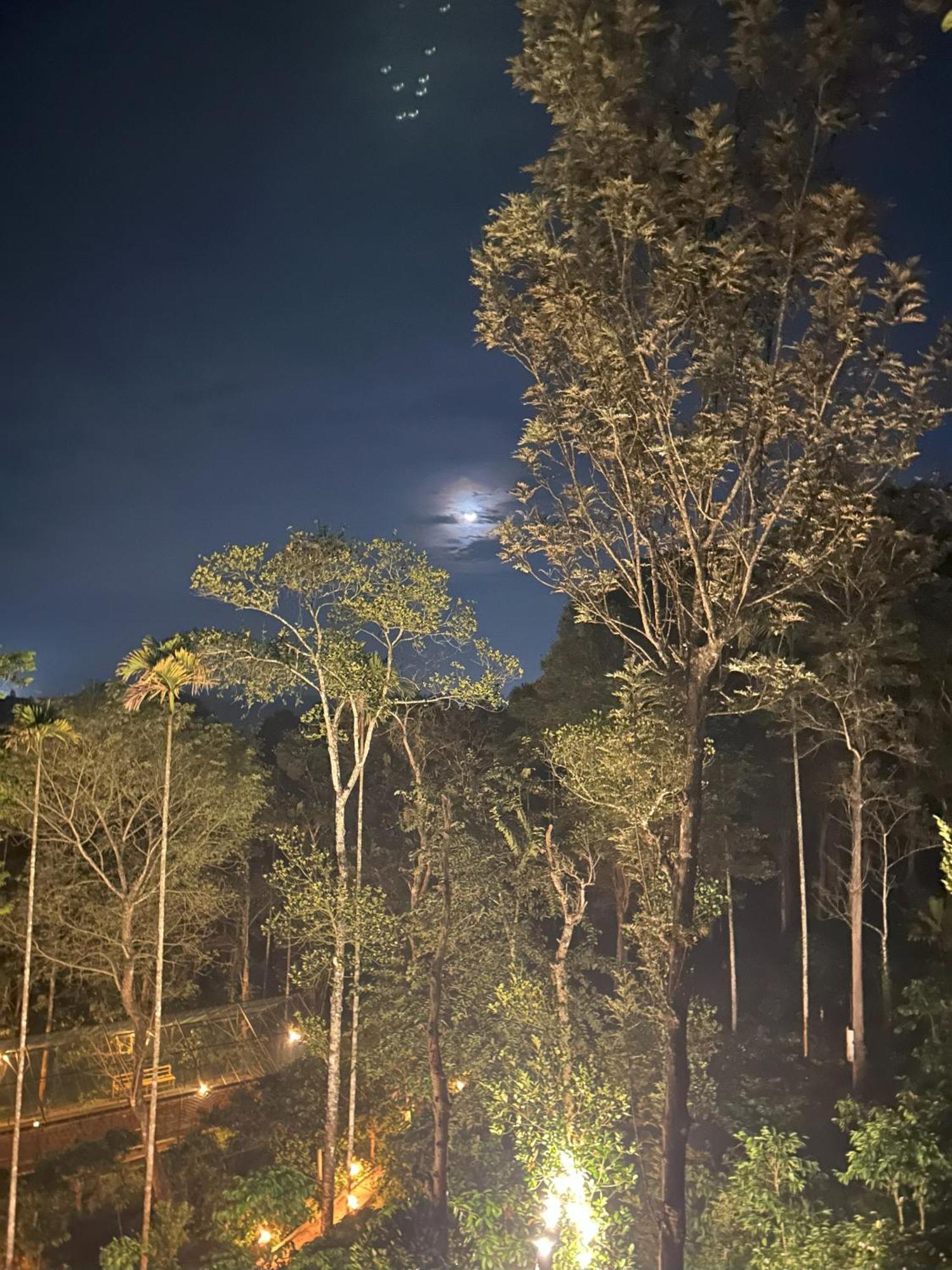 Sylvan Resort Ваянад Екстер'єр фото